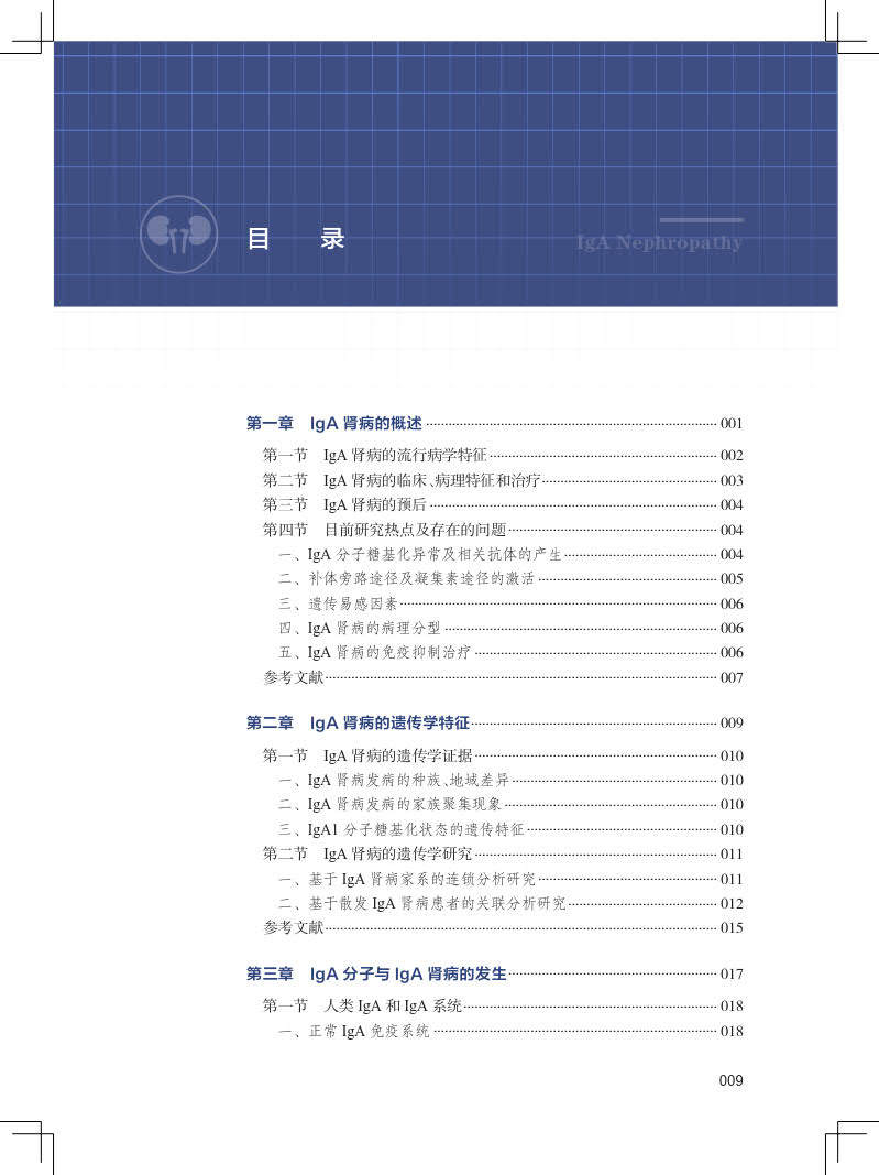 iga肾病第2版iga第二2版史伟 久久旺图书内科学