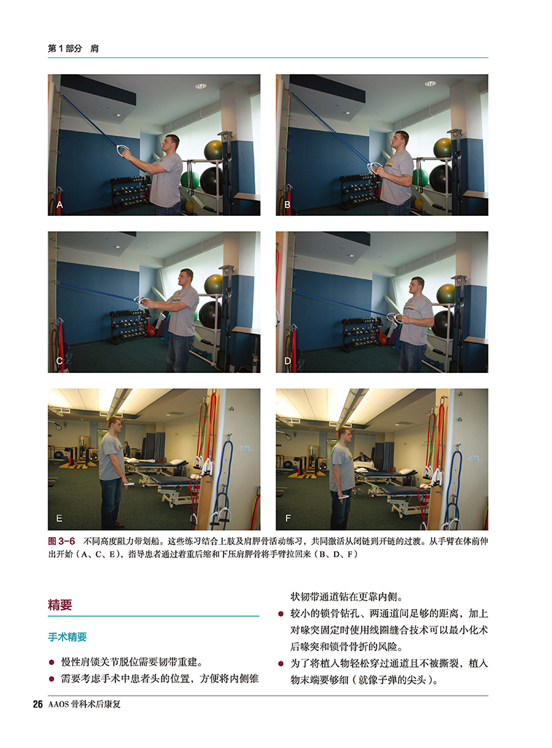 包邮正版 AAOS骨科术后康复 王雪强 王于领 主译 9787571406936 北京科学技术出版社 解剖学 手术适应证和技术 康复策略和临床精要