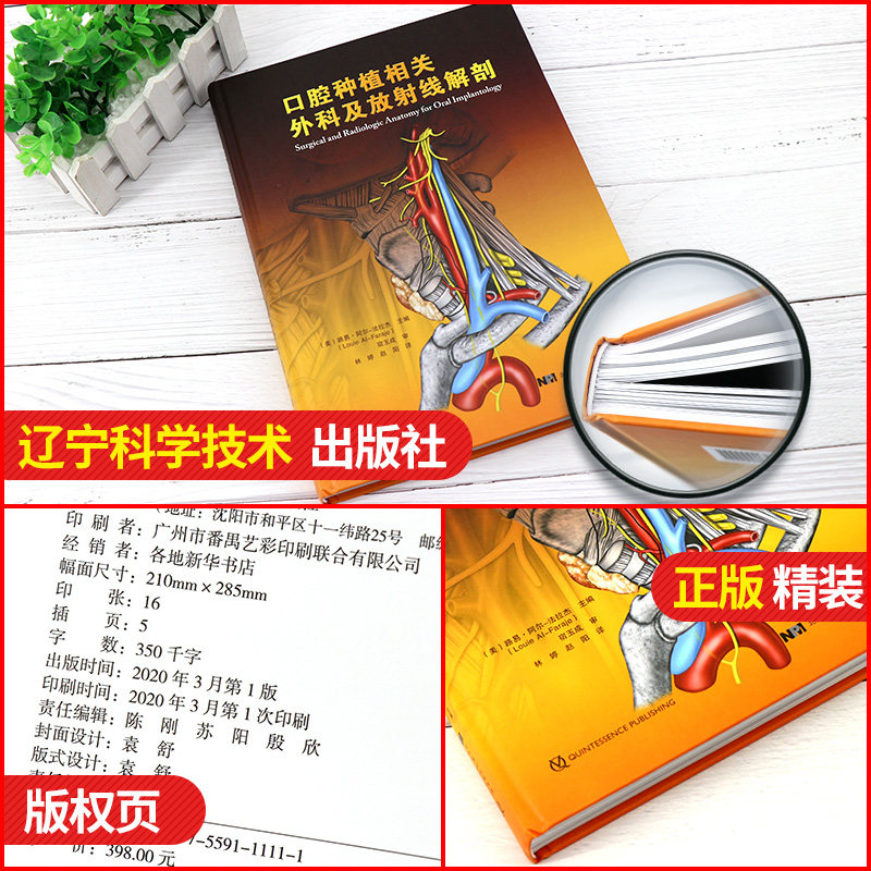 正版 口腔种植相关外科及放射线解剖 口腔种植学正畸学医学类专业书籍 辽宁科学技术出版社 9787559111111 牙齿种植手术技巧指导书