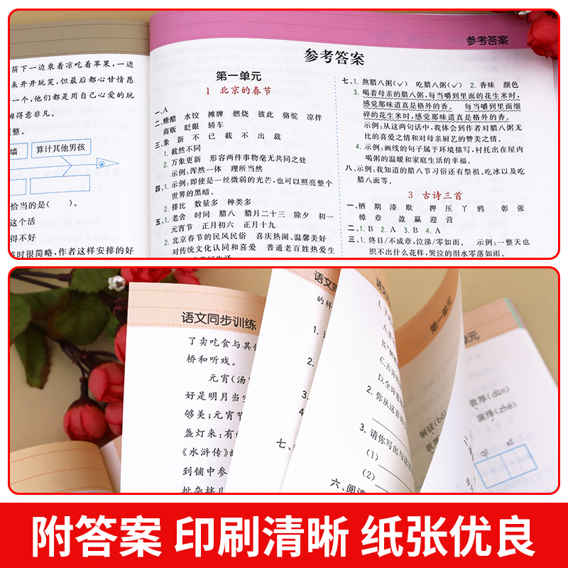 六年级下册语文同步练习册人教版小学6下学期语文教材全解阅读理解专项训练同步作文试卷字帖练习与测试一课一练学练优课课练部编-图3