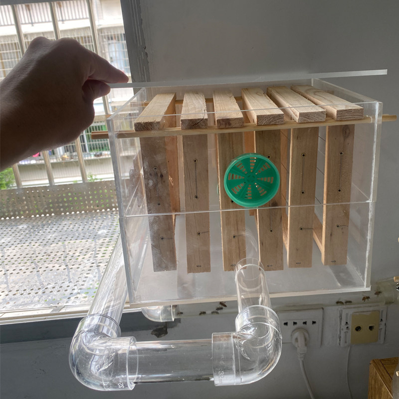 家里室内养蜜蜂透明格子活框亚克力玻璃蜂箱一整套蜂路管直播展示,淘宝优惠券,粉丝福利购,淘宝优惠卷