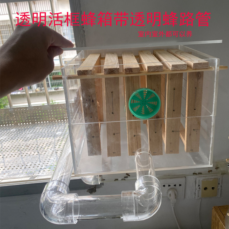家里室内养蜜蜂透明格子活框亚克力玻璃蜂箱一整套蜂路管直播展示,淘宝优惠券,粉丝福利购,淘宝优惠卷