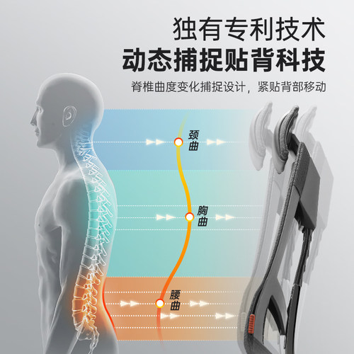 保友ergonor基尼迪亚电竞椅护腰电脑椅办公椅人体工学椅家用网椅 - 图1