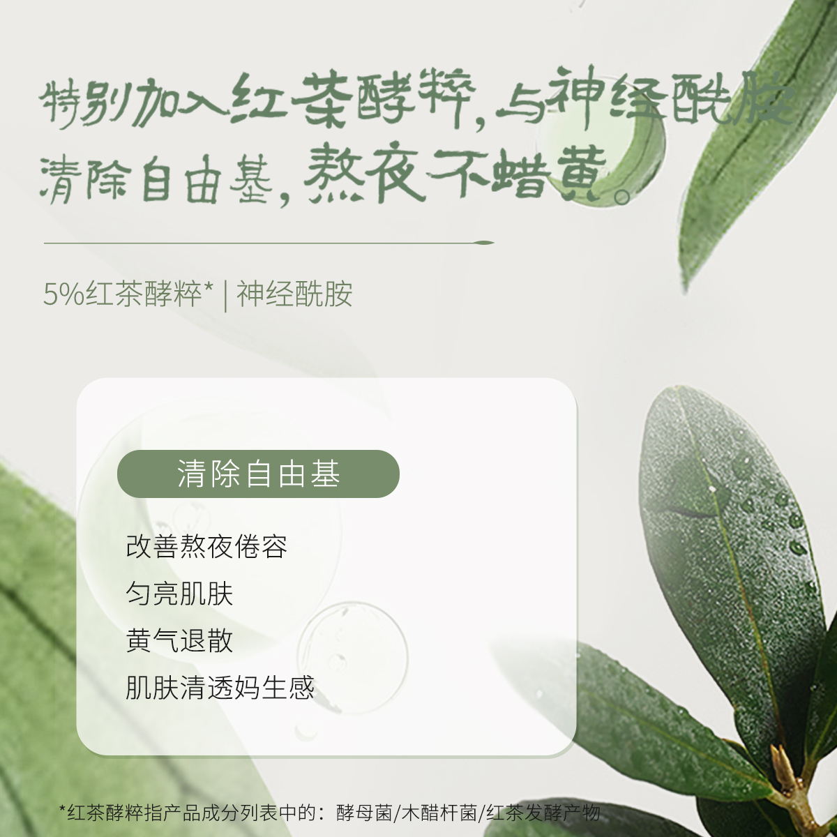 韩后茶蕊嫩白液水乳液提亮美白滋润爽肤水补水保湿旗舰店官方正品