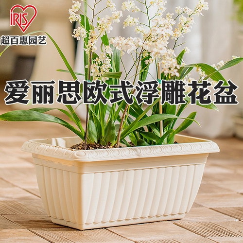 日本爱丽思花盆塑料特大号长方形阳台种菜盆草莓盆栽爱丽丝种植箱 - 图0