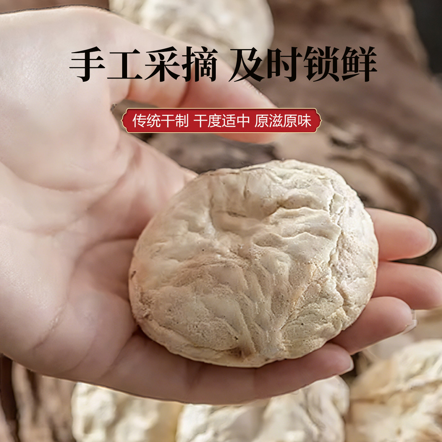 陇谷传说口蘑菇干货口蘑干口蘑新鲜菌菇甘肃陇南白蘑菇煲汤食材