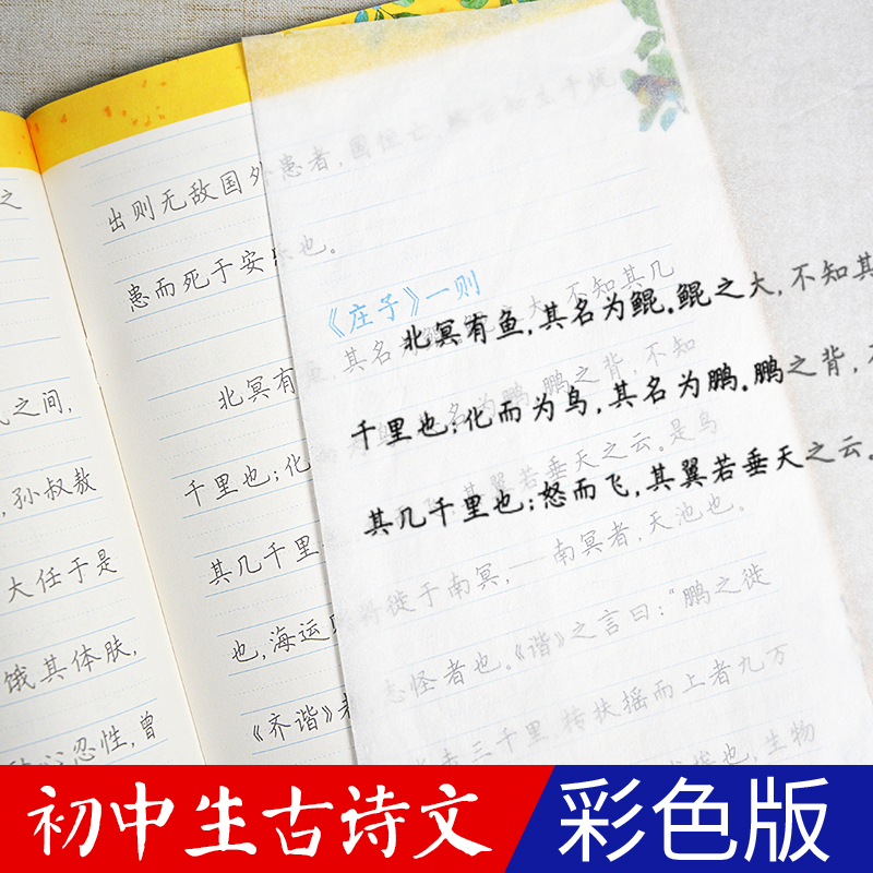 初中生字帖练字七年级八年级上册练字帖每日一练古诗文中学生墨点楷书钢笔练字本硬笔书法荆霄鹏正楷字帖中考语文初中暑假作业 - 图1