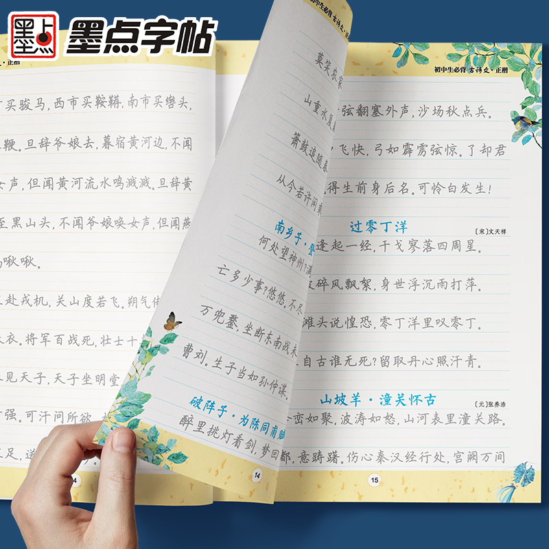 初中生字帖练字七年级八年级上册练字帖每日一练古诗文中学生墨点楷书钢笔练字本硬笔书法荆霄鹏正楷字帖中考语文初中暑假作业 - 图3