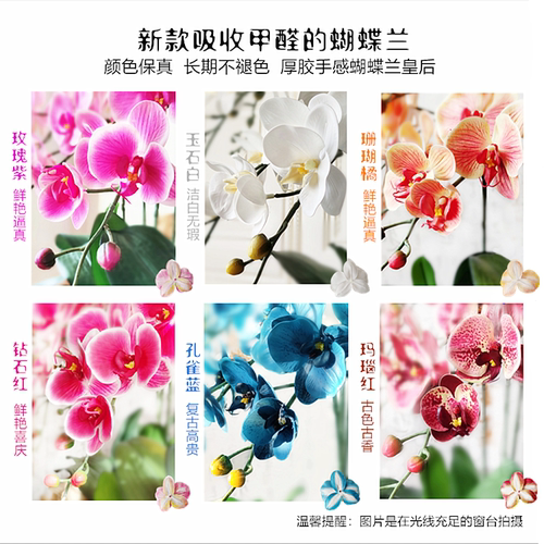 和家全手感室内婚庆蝴蝶兰仿真花套装家居摆设装饰花玄关客厅摆件 - 图1