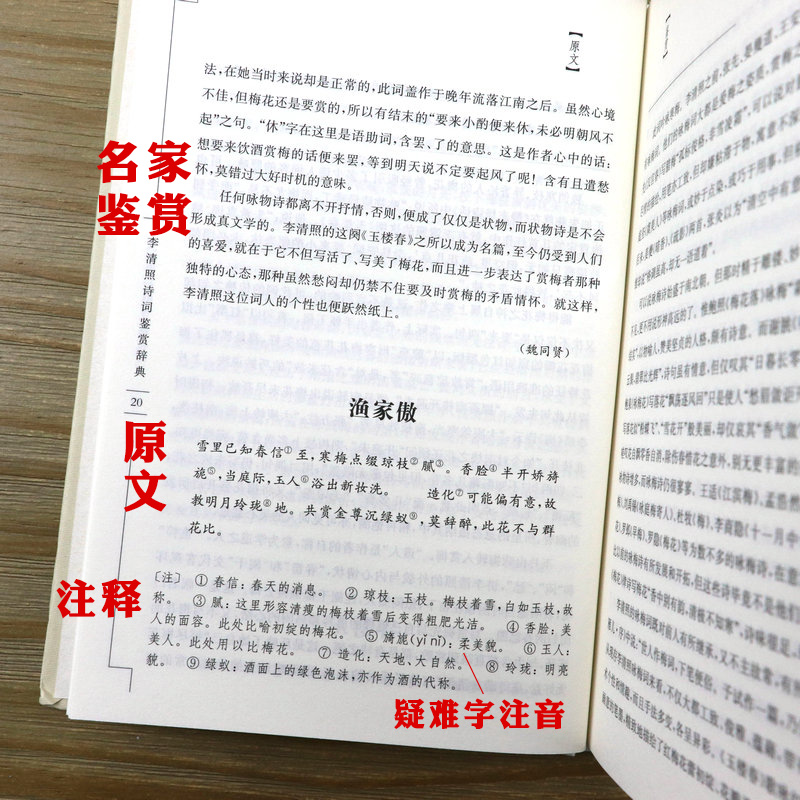 李清照诗词鉴赏辞典精装中国历代女性文学名家诗词名作鉴赏辞典系列半世烟雨半世落花李清照词传词全集校注人一生要读的古典诗词 - 图1