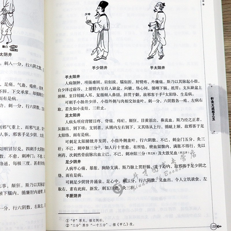 549页正版针灸大成杨继洲 针灸艾灸中医针灸基础理论临床医学大全针灸学全集内经难经易经针灸甲乙经校释灸绳董氏奇穴治疗析要书籍 - 图2