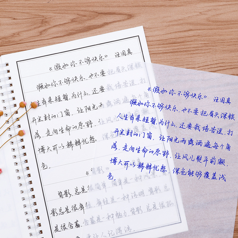 临慕字帖成人行楷速成字帖女生字体漂亮徐静蕾入门练字初中生高中生大学生成年男生霸气钢笔硬笔书法行书草书临摹练字本板贴