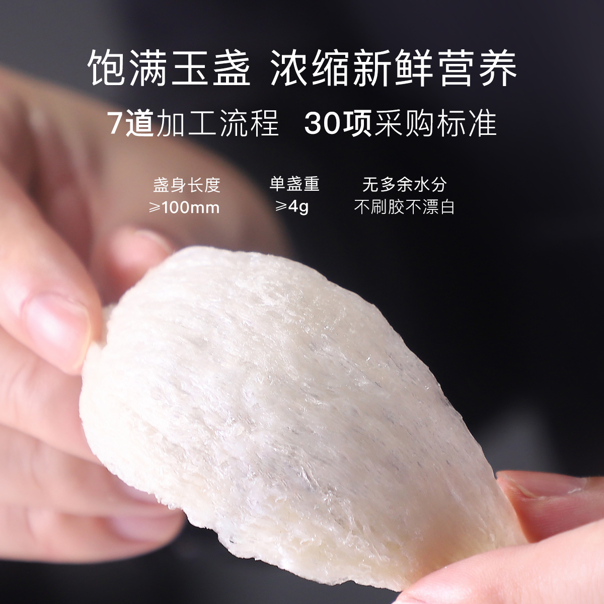 【新年送礼】小仙炖干燕窝倾城礼盒50g印尼溯源干盏送礼滋补