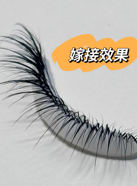 手工制作美睫师练习工具3层仿真人睫毛模特眼