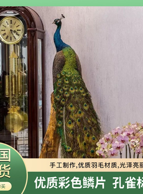 蓝白孔雀标本全真羽毛落地摆件客厅酒店装饰家居工艺精品开业送礼