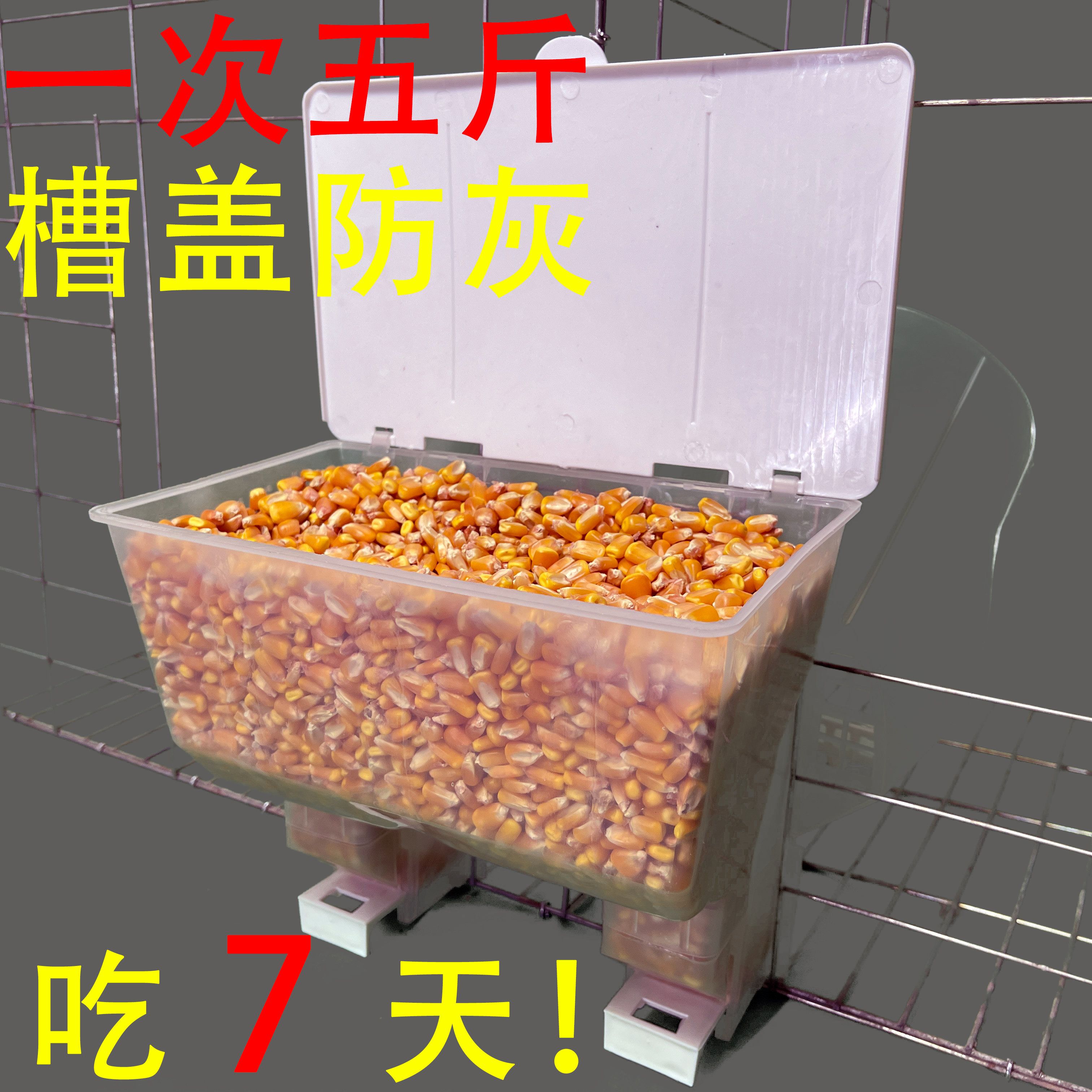 肉鸽鸽子新款双口自动塑料料盒食槽防撒不堵透明结实加大容量加厚,淘宝优惠券,粉丝福利购,淘宝优惠卷