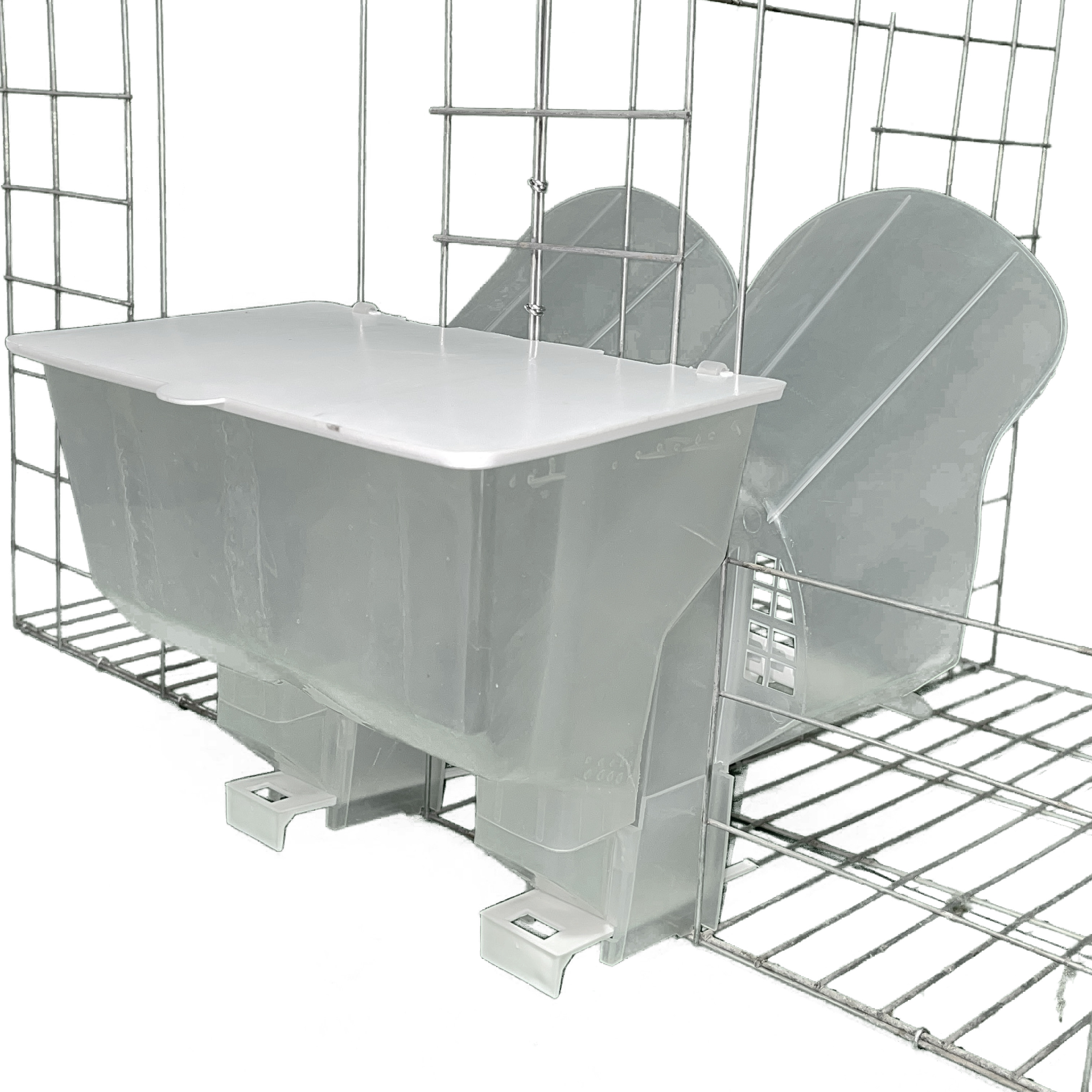 肉鸽鸽子新款双口自动塑料料盒食槽防撒不堵透明结实加大容量加厚,淘宝优惠券,粉丝福利购,淘宝优惠卷