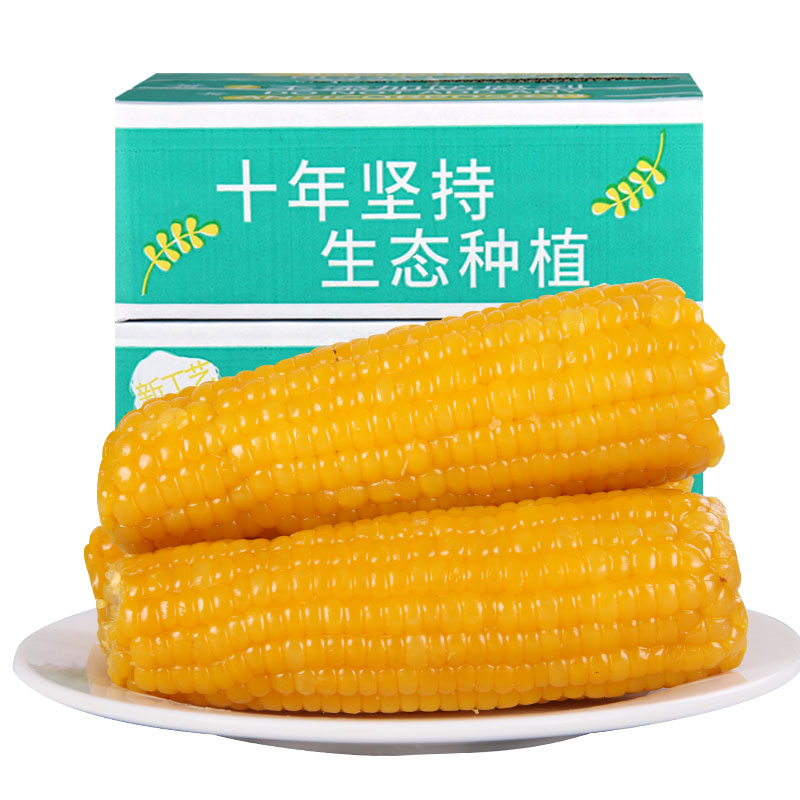 【非转基因】禾久黄糯鲜食甜糯即黏玉米棒粗粮食真空10条装包邮-图3