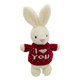 Doll Rabbit ປິ່ນປົວຂອງປະທານວັນເກີດ plush toy