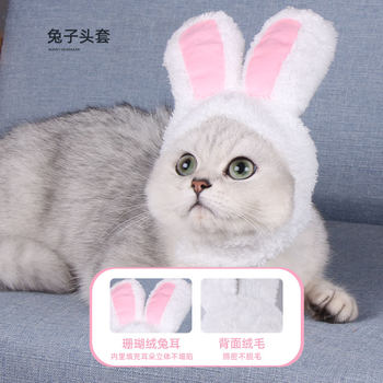 Pet Hat Cat Lion Headgear ງາມຫູ Rabbit Funny Internet Celebrity Photo Props Puppy Dress Up Decoration