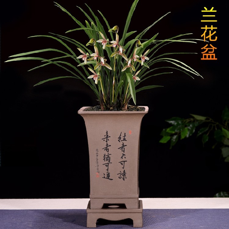 精品紫砂花盆兰花盆君子兰盆景盆室内大号古典六方带托盘陶瓷花盆,淘宝优惠券,粉丝福利购,淘宝优惠卷