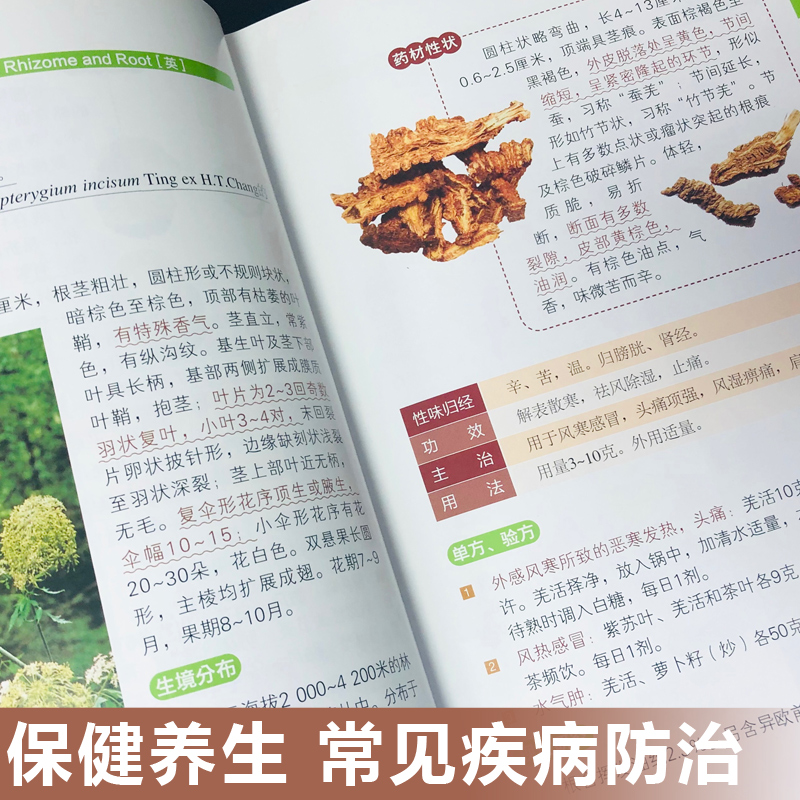 【全新现货】精编中草药识别与应用图谱 赠常用中药速记手册 中草药彩图大全书 草药书图解大全 中草药百草图鉴配方书教材本草纲目 - 图1