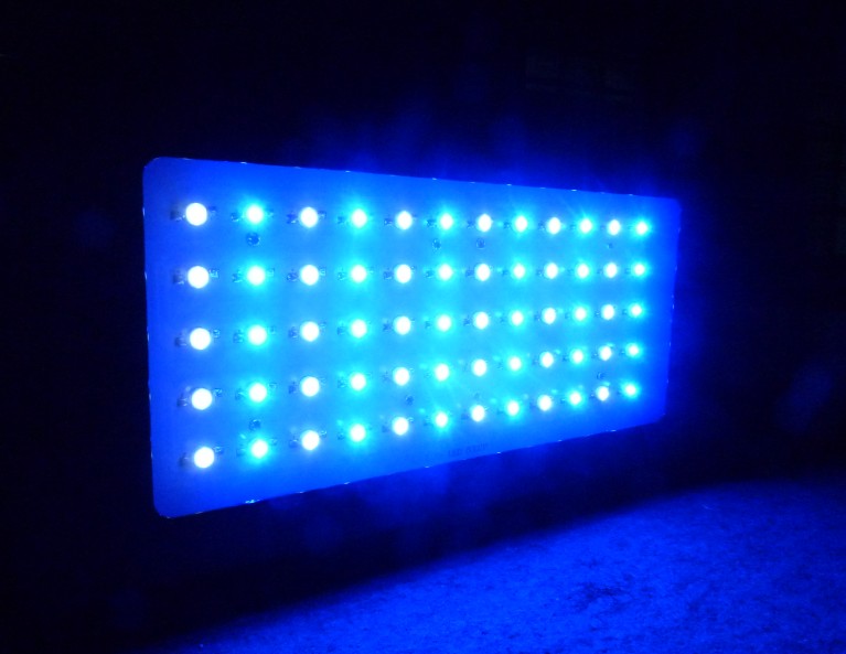 80W LED植物生长灯LED植物灯 80X1W grow light LED水族灯