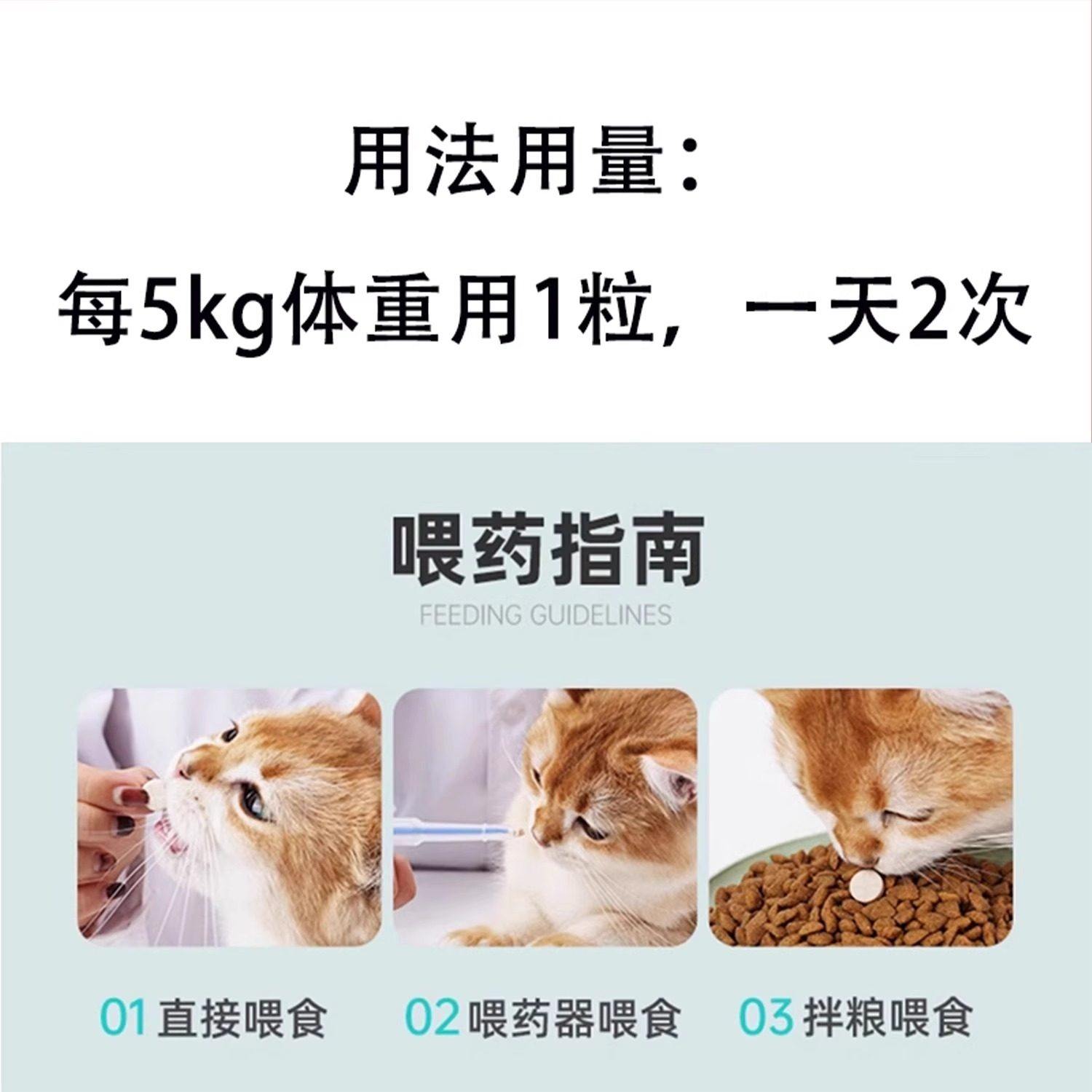脸谱濞延大师宠物猫咪狗狗鼻腔问题修护,淘宝优惠券,粉丝福利购,淘宝优惠卷