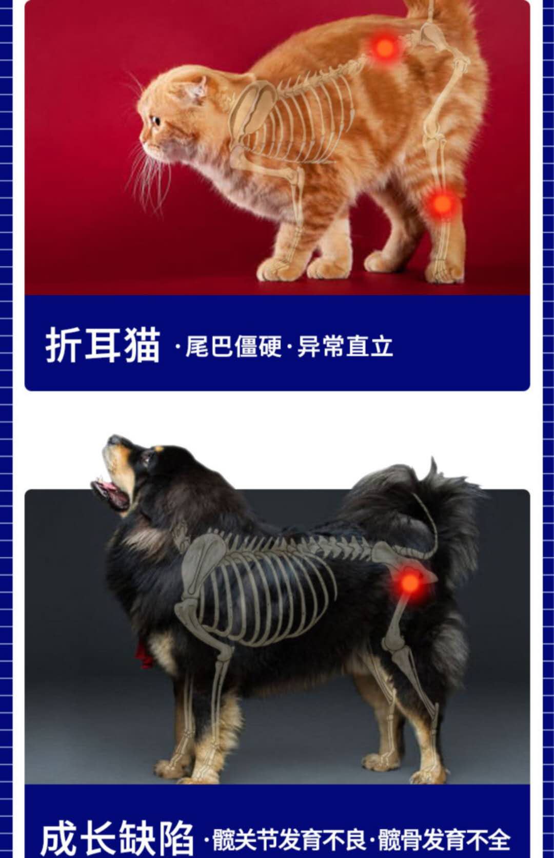 杜立德爱固宝狗狗软骨折耳猫咪软骨症关节宝发育不良腿瘸骨折宠物 - 图0