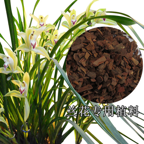 松树皮发酵腐熟大块松磷大包装 蝴蝶兰铁皮石斛栽培基质 兰花植料 - 图2
