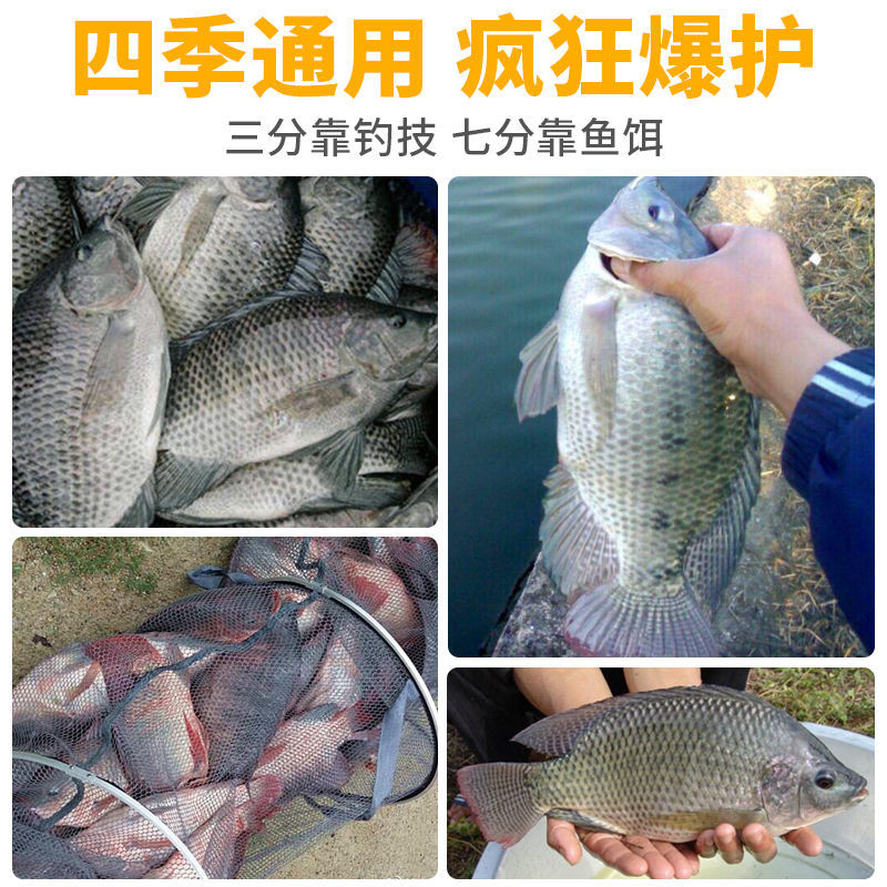 光威新成功一号颗粒罗非饵料竞技版武藏湖黑坑野钓鱼饵颗粒打窝料 - 图2