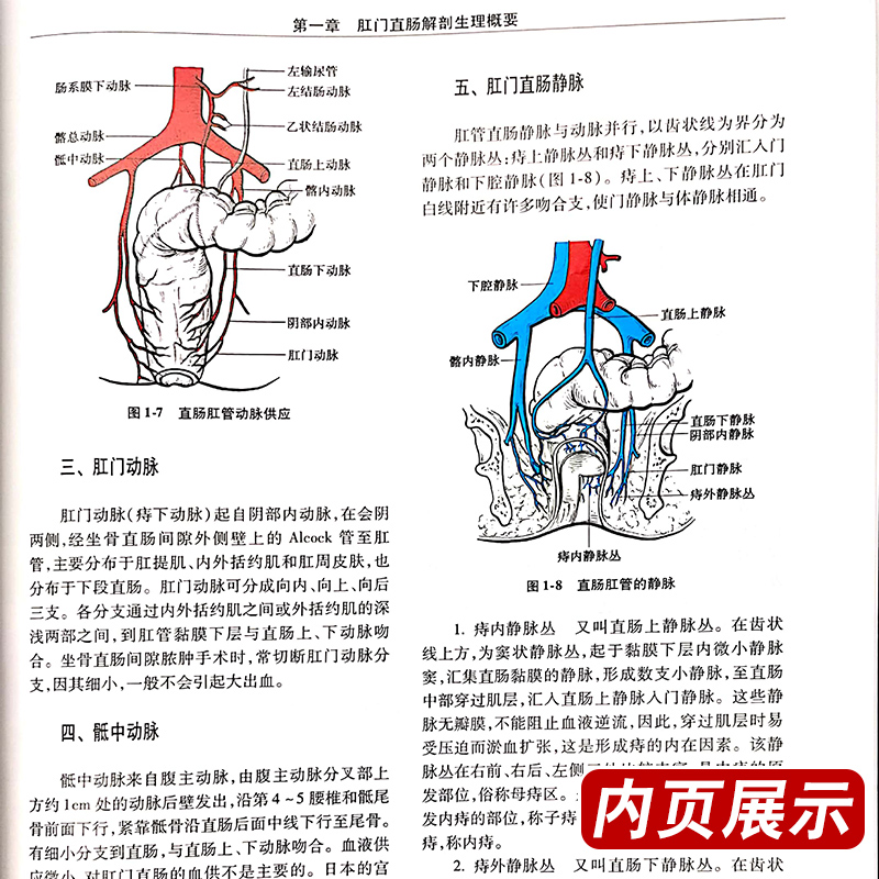 正版肛肠外科护理聂敏李春雨主编肛肠科书籍外科学肛肠疾病临床研究肛肠护理方法肛肠外科药物制剂用药方法人民卫生出版社-图3