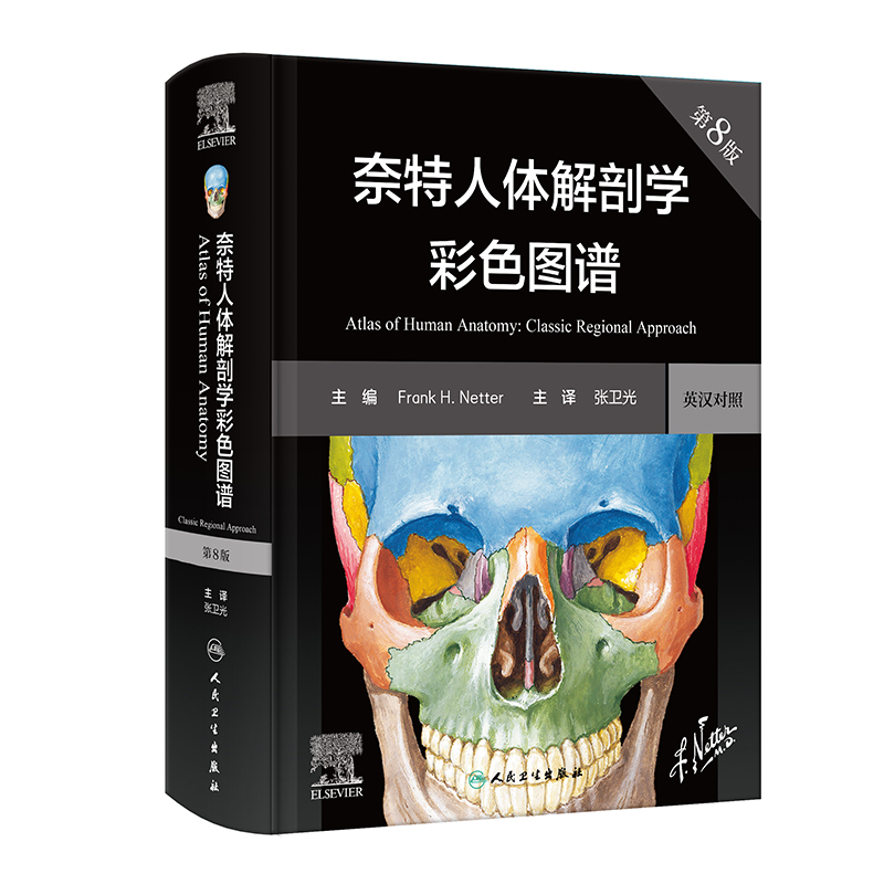 新版现货 奈特人体解剖学彩色图谱 第八版8版彩色局部七版7版升级电子版中英双语系统格氏神经临床基础教材内外生理科学法医解刨书 - 图0