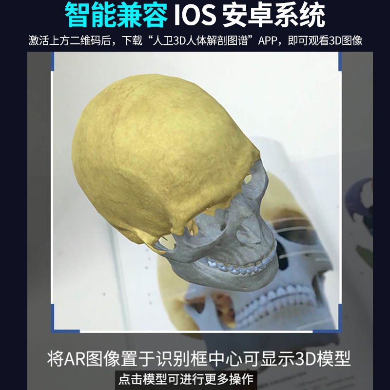 人卫3D人体解剖图谱王凡人体医学全彩解剖图谱局部解剖系统格氏解剖学神经解剖学教材列车医学法医解刨书高清图鉴骨骼触诊AR-图1