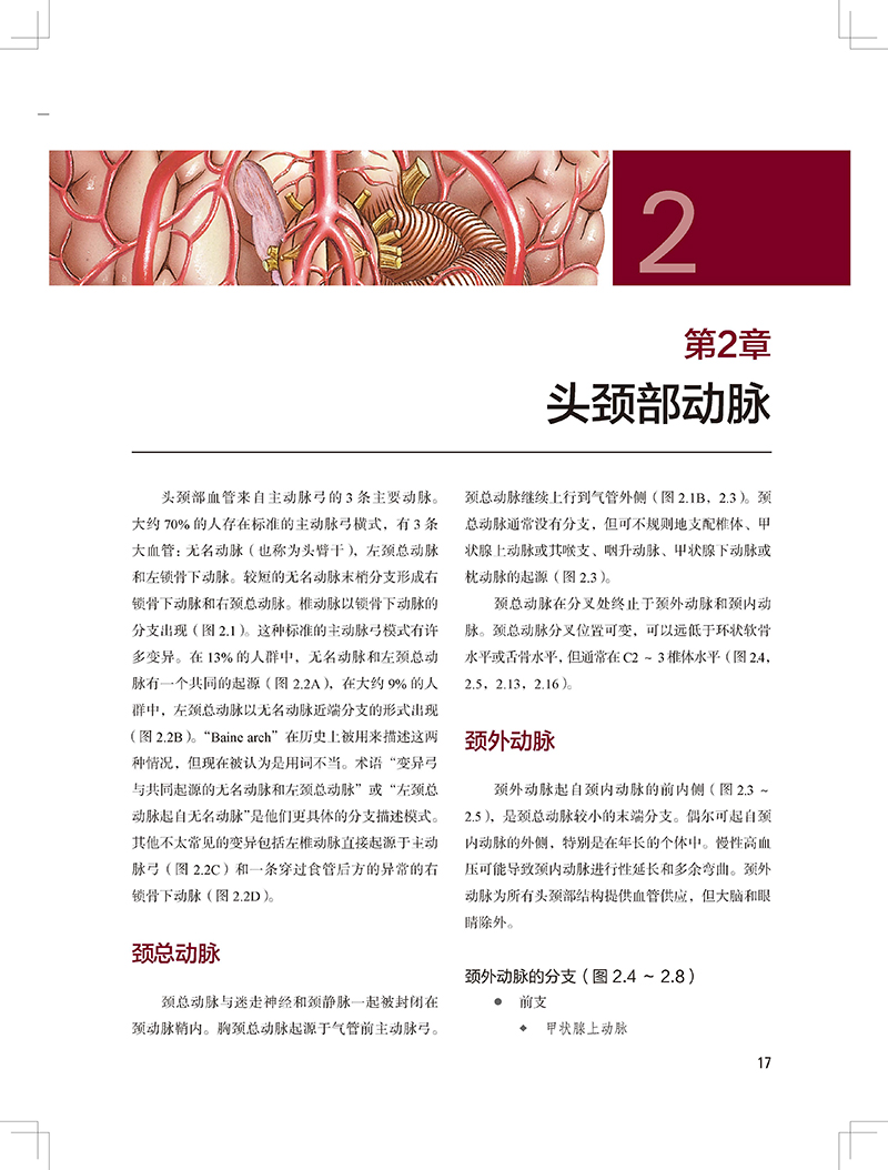 血管解剖及造影图谱 第3版 陶晓峰 董伟华 主译 血管介入治疗解剖学基础 临床操作陷阱 DSA造影 北京科学技术出版社9787571426507