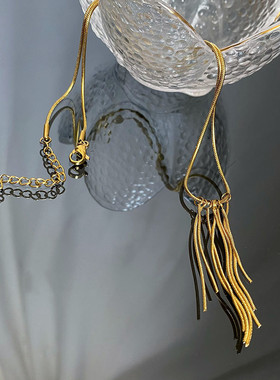 钛钢长款流苏项链小众锁骨链女