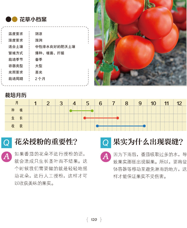 幸福花草时光家庭种花种蔬菜种水果的指南花艺教程植物大全花艺师书籍花卉图鉴花卉书籍养花书籍种花大全花卉种植技术书养花书籍 - 图2