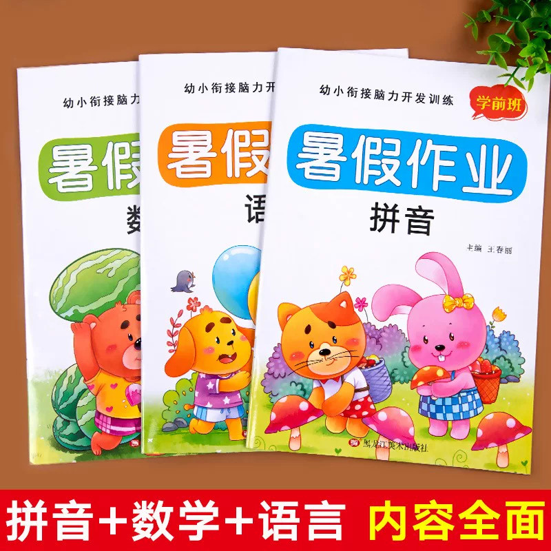 幼小衔接暑假作业幼儿园拼音数学语言教材全套幼升小学一年级入学准备大练习专项综合训练学前班中大班练习册测试卷练习题每日一练