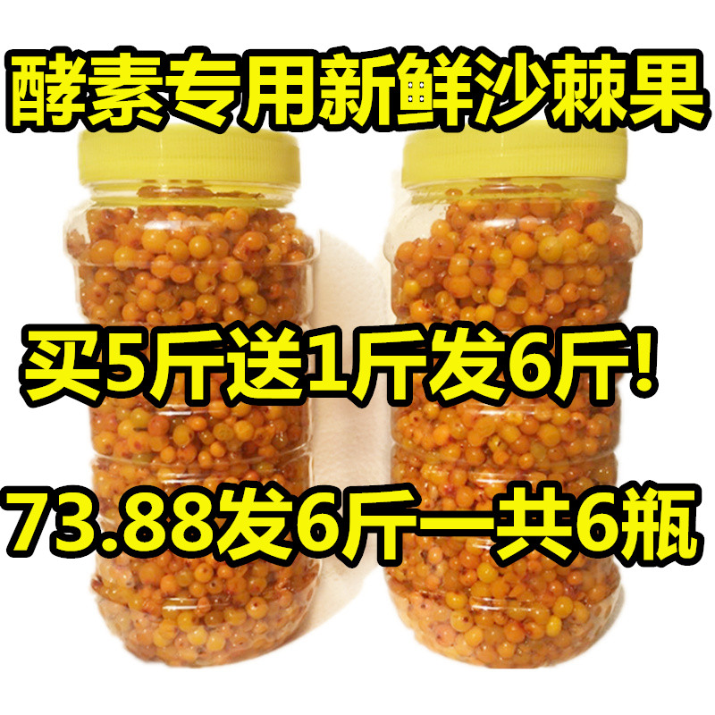 新鲜野生沙棘果6斤包邮吕梁特产天然特级精选沙棘果鲜果榨汁酵素