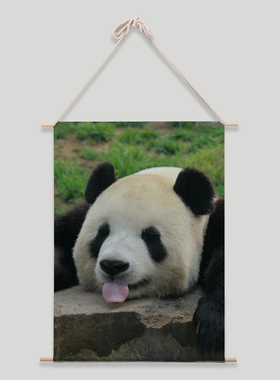 大熊猫飞云周边和叶同款照片海报来图定制做布艺挂画装饰卷轴礼物