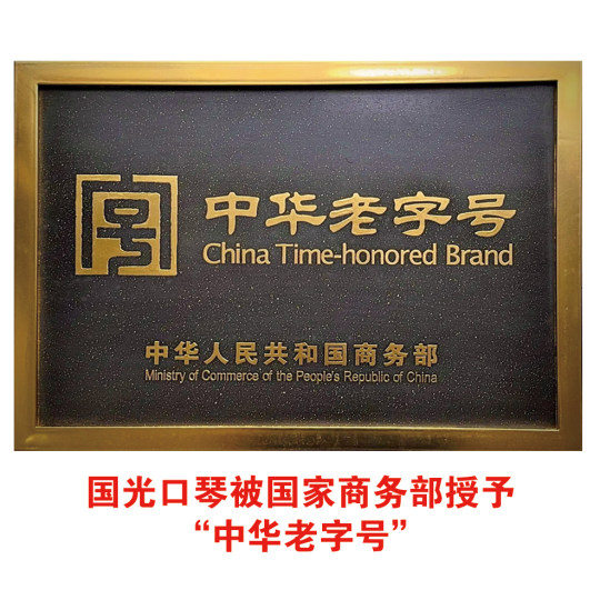 上海老牌国光口琴24孔复音C调28孔专业演奏级成人初学者学生入门