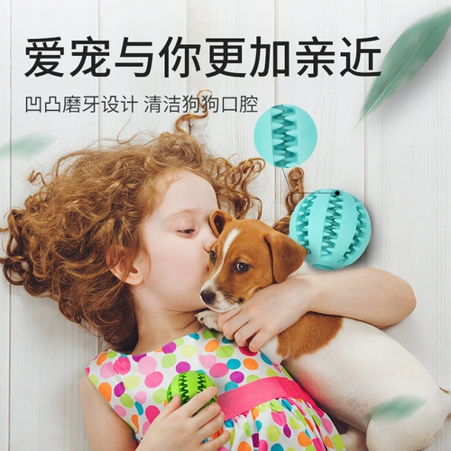 Собачья игрушечная мяч, чтобы кусать маленькие большие собачьи края