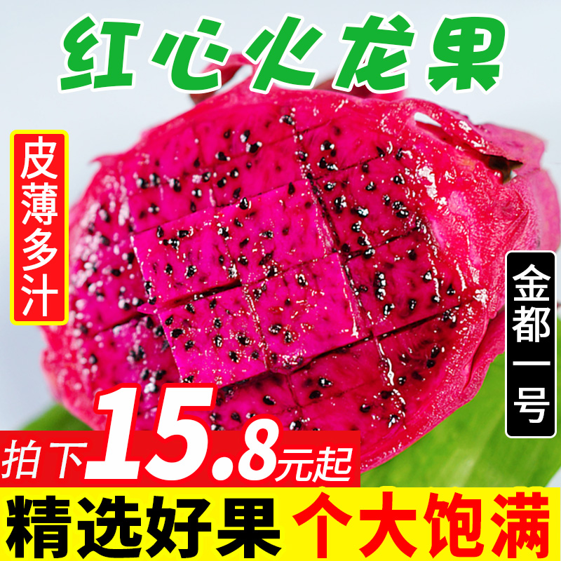 纯香果旗舰店纯香果 金都一号红心火龙果大果5斤水果新鲜红龙果肉应季整箱包邮0