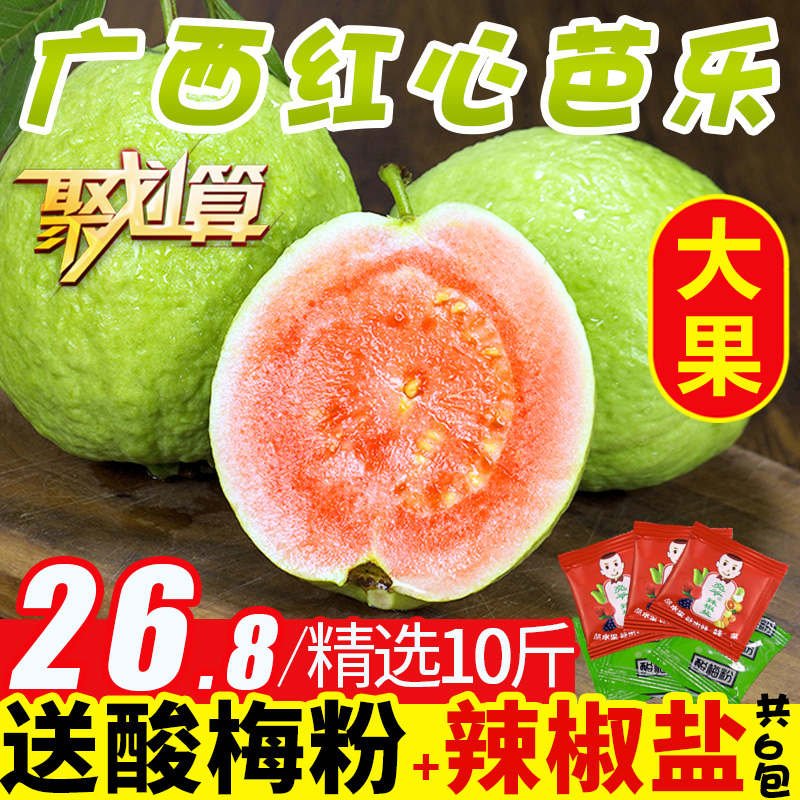 纯香果旗舰店纯香果 广西特产红心芭乐番石榴水果应季10斤整箱潘石榴新鲜包邮50