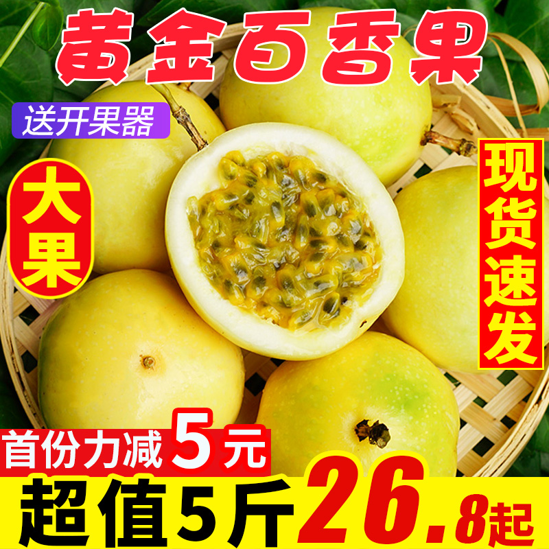 纯香果旗舰店黄金百香果新鲜包邮5斤装大果现摘黄金果百香果酱浓浆整箱黄晶果0