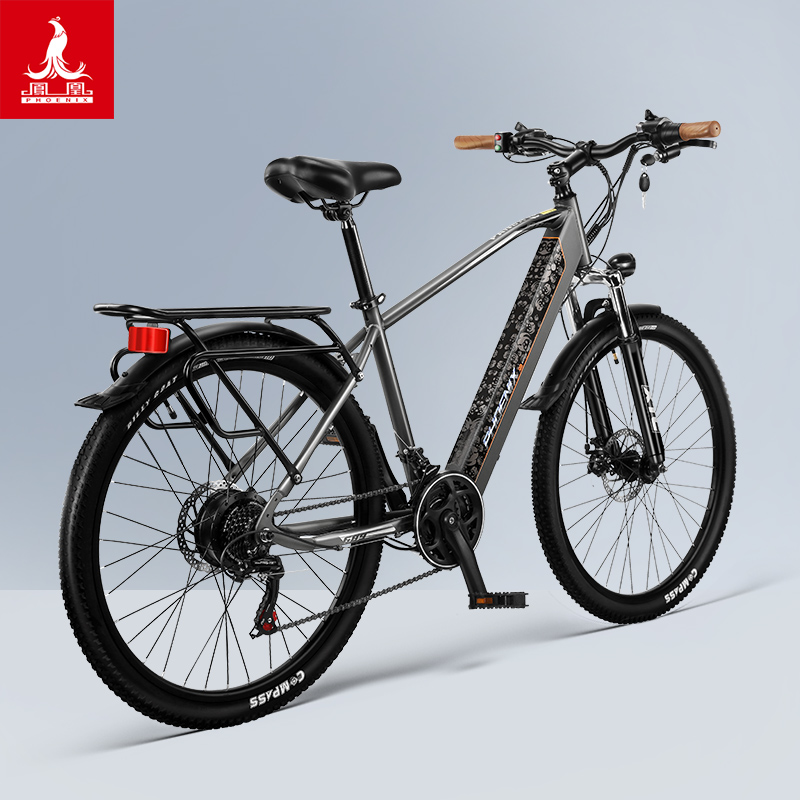 凤凰新国标电动车助力男女士成年人电动自行车锂电池代步电瓶单车 - 图0