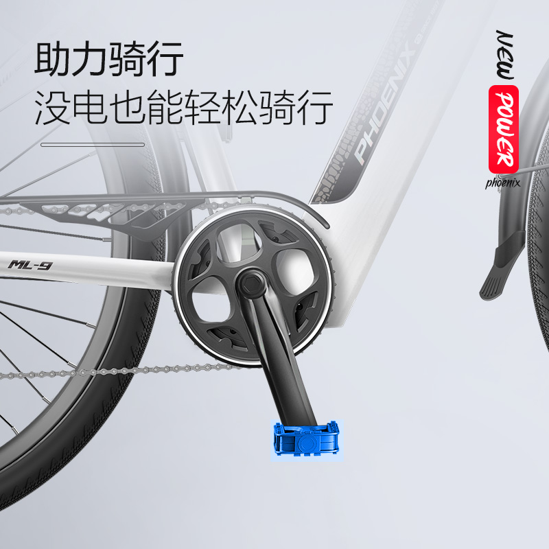 凤凰新国标电动车助力男女士成年人电动自行车锂电池代步电瓶单车 - 图3