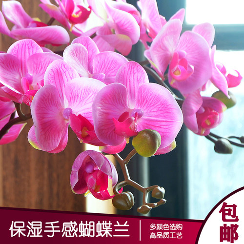 过胶保湿手感蝴蝶兰仿真花单支花客厅家居装饰花酒店婚庆插花假花 - 图0