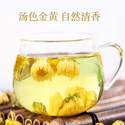 李锦记集团天方健菊花50克浙江桐乡杭白菊胎菊可泡蜂蜜菊花枸杞茶-图0