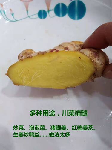 四川新鲜小黄姜月子老土母姜嫩生姜仔指泡菜醋姜红芽姜芽3斤包邮 - 图1